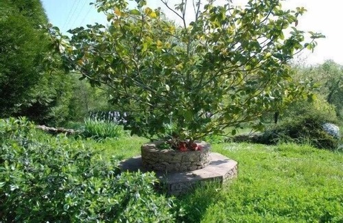 Mauzac-et-Grand-Castang Cottage | Charming cottage, quiet ideal rest with pool and sauna