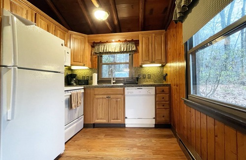 Reeders Cabin | Charming Lake Front Log Cabin with Fire Pit in the Poconos