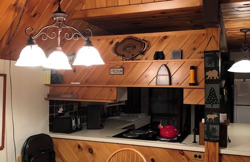Freedom Cabin | Charming Pet Friendly Ossipee Lake Vaca Home