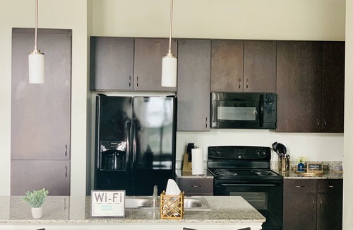 Braeswood Place Apartment | 🌟Charming Retreat🌟NRG Medical Center