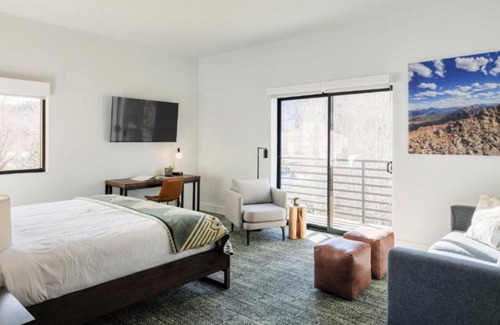 Silverthorne Hotel | Charming Room Near Silverthorne's Best Ski Slopes! Pets Allowed!