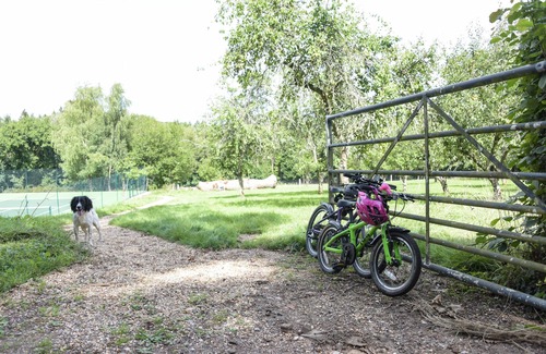 Warninglid Apartment | Charming Stone cottage backing on to woodland on a private estate