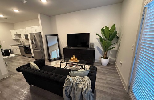 Astrodome Apartment | Charming Studio Apartment in The Medical Center