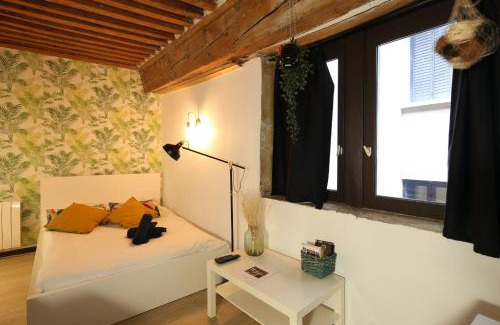 Terreaux - Bat d'argent Apartment | Charming Studio Centre Ville De Lyon