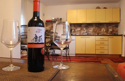 Blagaj Villa | Charming two bedroom chalet with the pool and vineyard