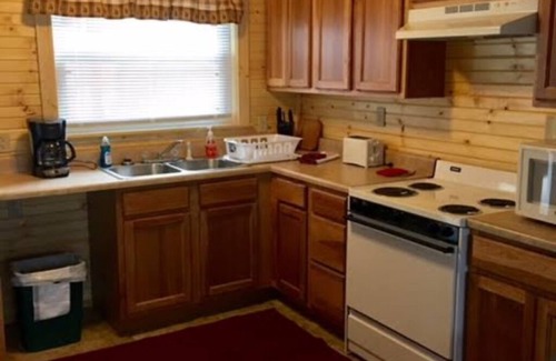 Elkins Cabin | Charming Yet Wild Cozy Retro Cabin Hot Tub, Sunroom, Fire Pit & Trout! Hiking!