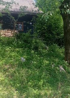 Lhota u Vsetina House | Chata na Lhotských pasekách