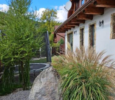 Myto pod Dumbierom House | Chata Provence