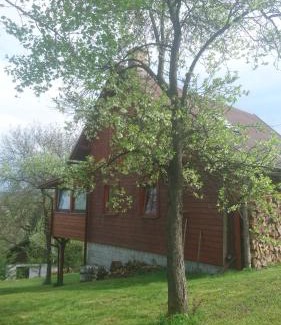 Bozkov House | Chata s bazénem Bozkov