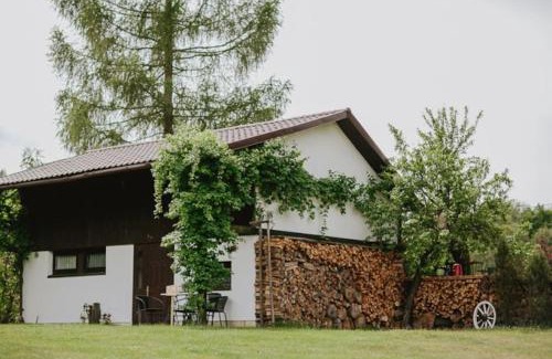 Murow House | Chata w lesie