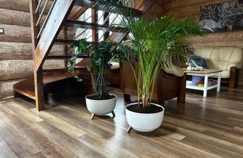 gmina Babiak House | Chata z Bala