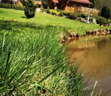 Wlen Villa | Chata Zbychówka