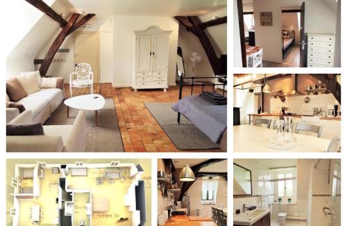 Brion House | Château La Mothaye - self catering apartments with pool in the Loire Valley