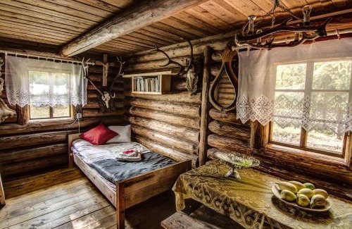 Bialowieza House | Chatka w lesie