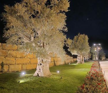 Hammana Hotel | Cherrytales