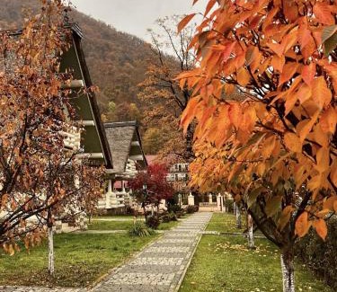 Shaian Cabin | Chervona Ruta