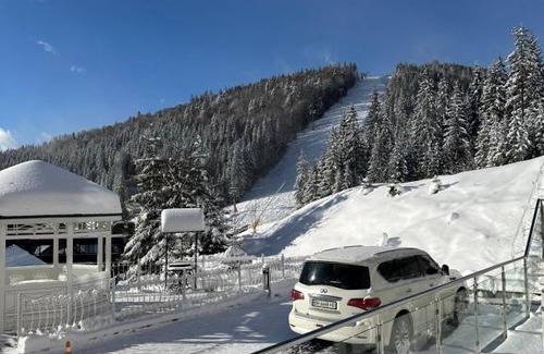 Palyanytsya Hotel | Chevalier Hotel & SPA