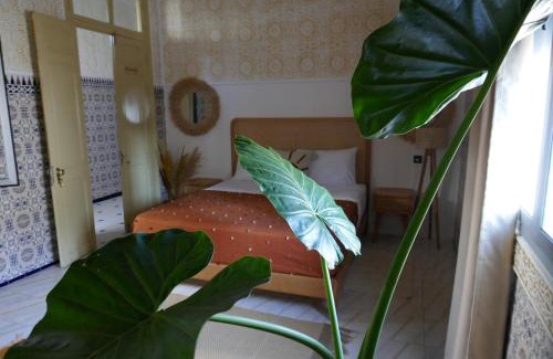 Marshan House | chez Aissam