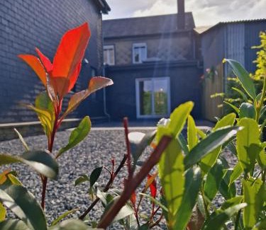 La Roche-en-Ardenne House | Chez Camil
