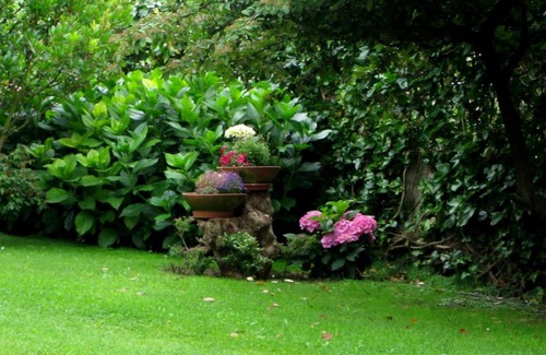 Montfavet Bed & Breakfast | Chez Fleur