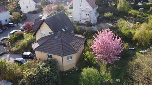 Illfurth Apartment | Chez Olivier et Josette sur Mulhouse Sud