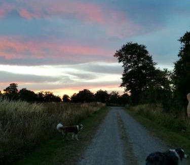 Brigueil-le-Chantre Bed & Breakfast | Chez Pastuso
