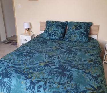 Varennes-sur-Allier House | CHEZ PILOU
