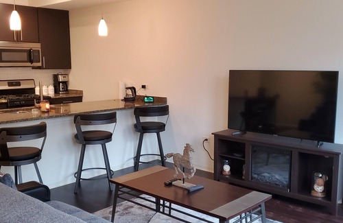 Evanston Condo | Chicago's Hidden Treasure "Evanston, IL" Urban Luxury with comfort