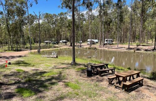 South Isis Other | Childers Nature Camp
