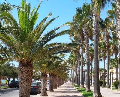 Moncofar Apartment | Chill'n Holidays