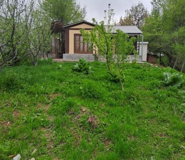 Uzbekistan Apartment | Chimgan say