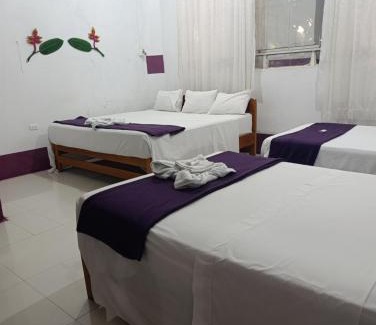 Puerto Maldonado Bed & Breakfast | Chimicuas House