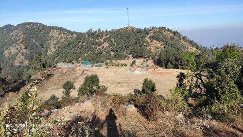 Jakh Other | Chintoli Farms