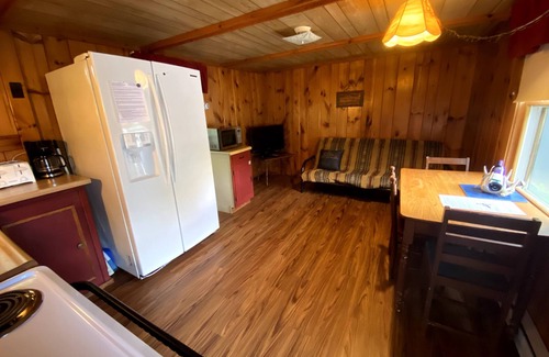 Chestertown Cabin | Chipmunk Cabin, Beautiful hand carved King Bed, Full Kitchen, plus AC! sleep 2