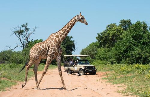Zambezi Region Cabin | Chobe Water Villas