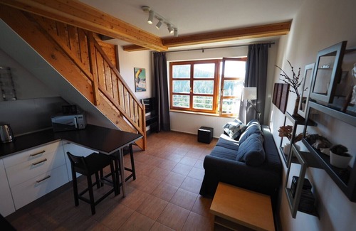 Cerny Dul Apartment | Cihlarka Mountain View Apartment