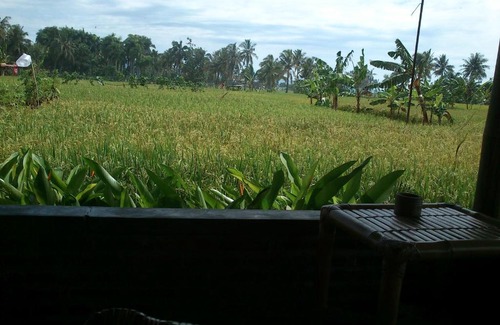 Tjimadja Hotel | Cimajasquare Hotel & Restaurant