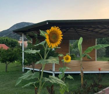 Cirali Resort | Cirali Armira Bungalow