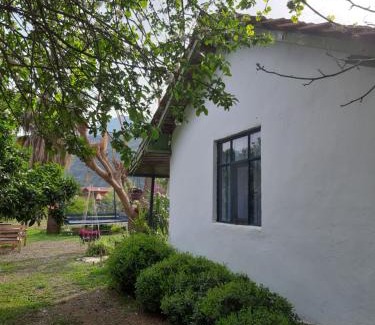 Cirali House | Cirali Friends Pension&Camping
