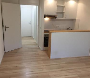 Obere Au Apartment | City Center Apartment