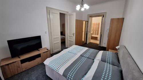 Nove Mesto Apartment | City center apartment Thomas No3