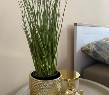 Barlinek Apartment | City Lights Apartment