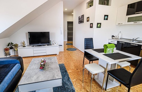 Ljubljana Apartment | City Modern and Vibrant Apartments Ljubljana - Classic One Bedroom Apartment