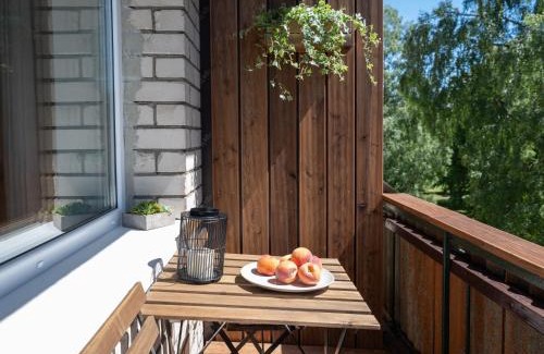 Jurmala Apartment | City Park Quiet Residence - 2 Room Apartment with Balcony & View