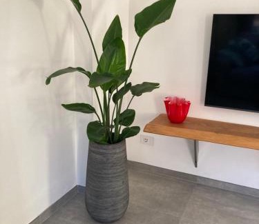 Malcesine Apartment | Civico 93
