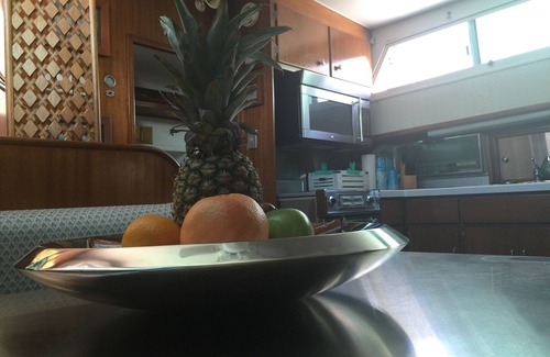 Orange Beach East Boat Rental | Classic Yacht Rentals at FloraBama