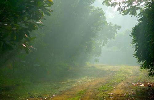 Irinjalakuda House | Clayfingers Art Cottage