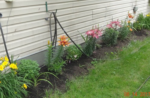 Taylor House | Clean...Comfortable...Custom...Cottage