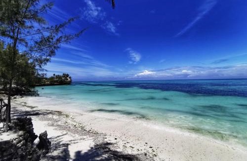 Mkunguni Hotel | COCO REEF ECOLODGE