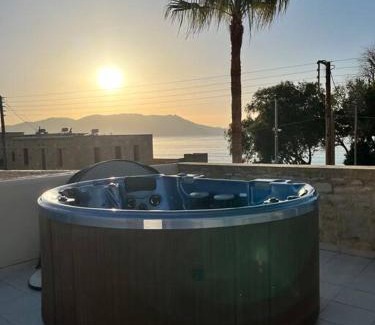Nopigia Villa | Colibri seafront villa with pool